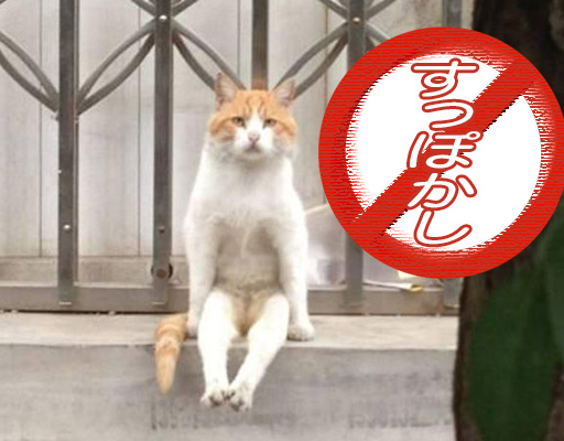 すっぽかし対処法